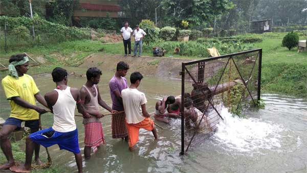 फिर से फट गए पाइप की मरम्मत करते मजदूर। मौके पर नहीं आए एक भी अधिकारी