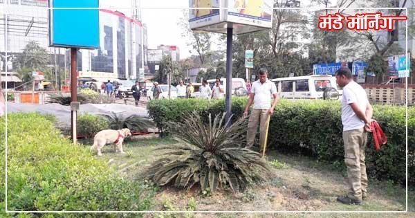 खोजी कुत्ते एवं मेटल डिटेक्टर की मदद से तलाशी लेते बम निरोधी दस्ते